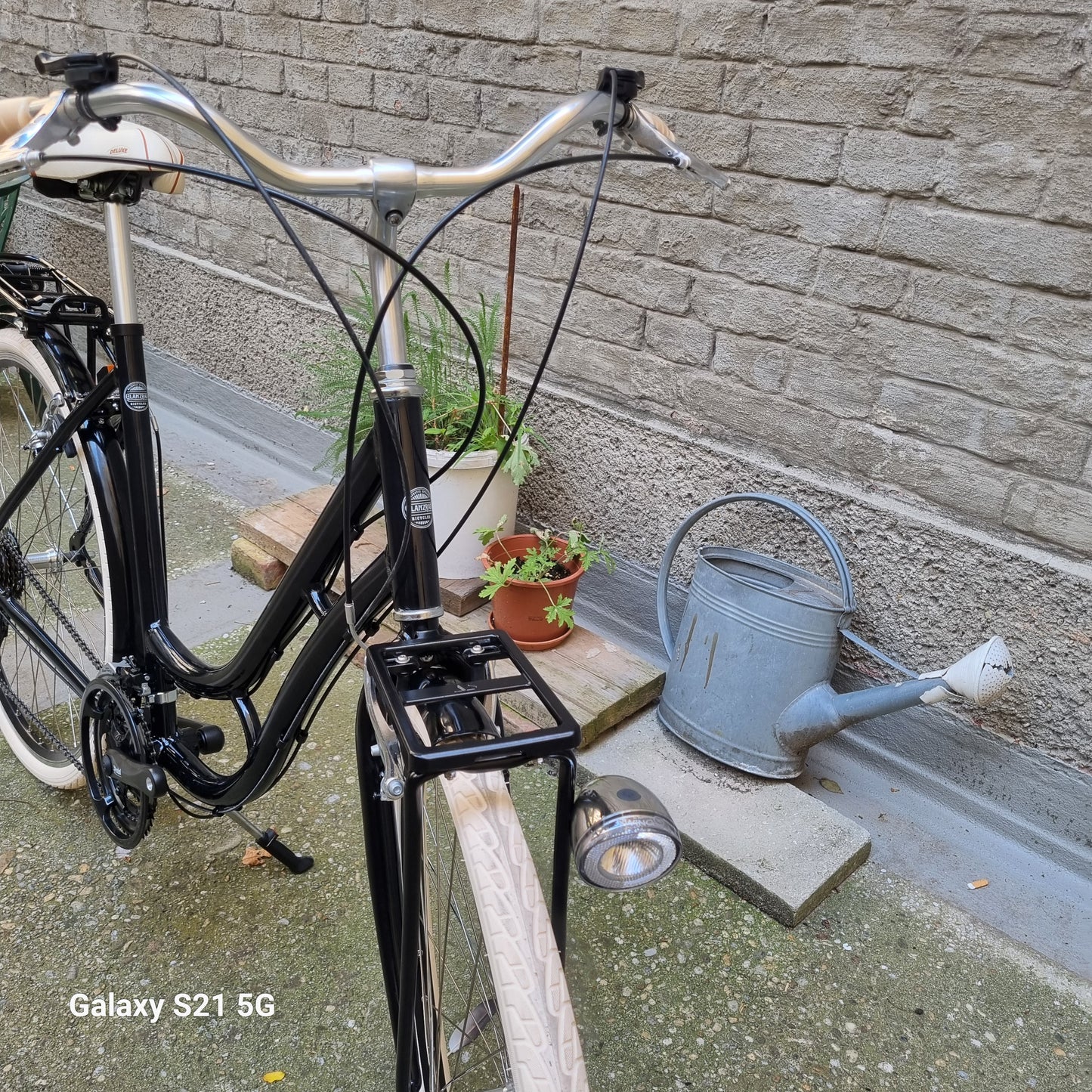 Glanzrad Schwanenhals 53 cm 21 Gang Deluxe