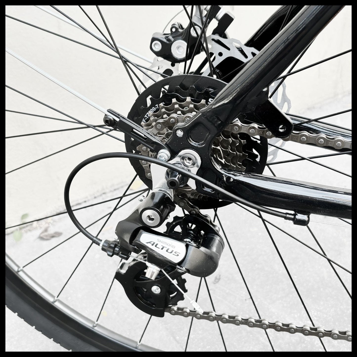 Glanzrad Disc-Sport Damen