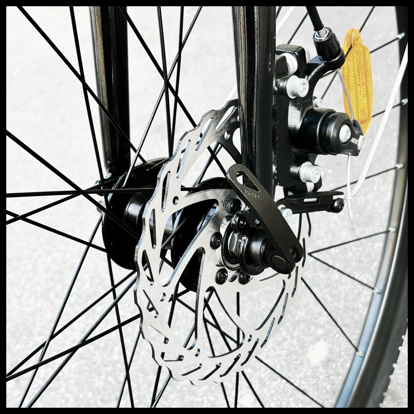 Glanzrad Disc-Sport Damen
