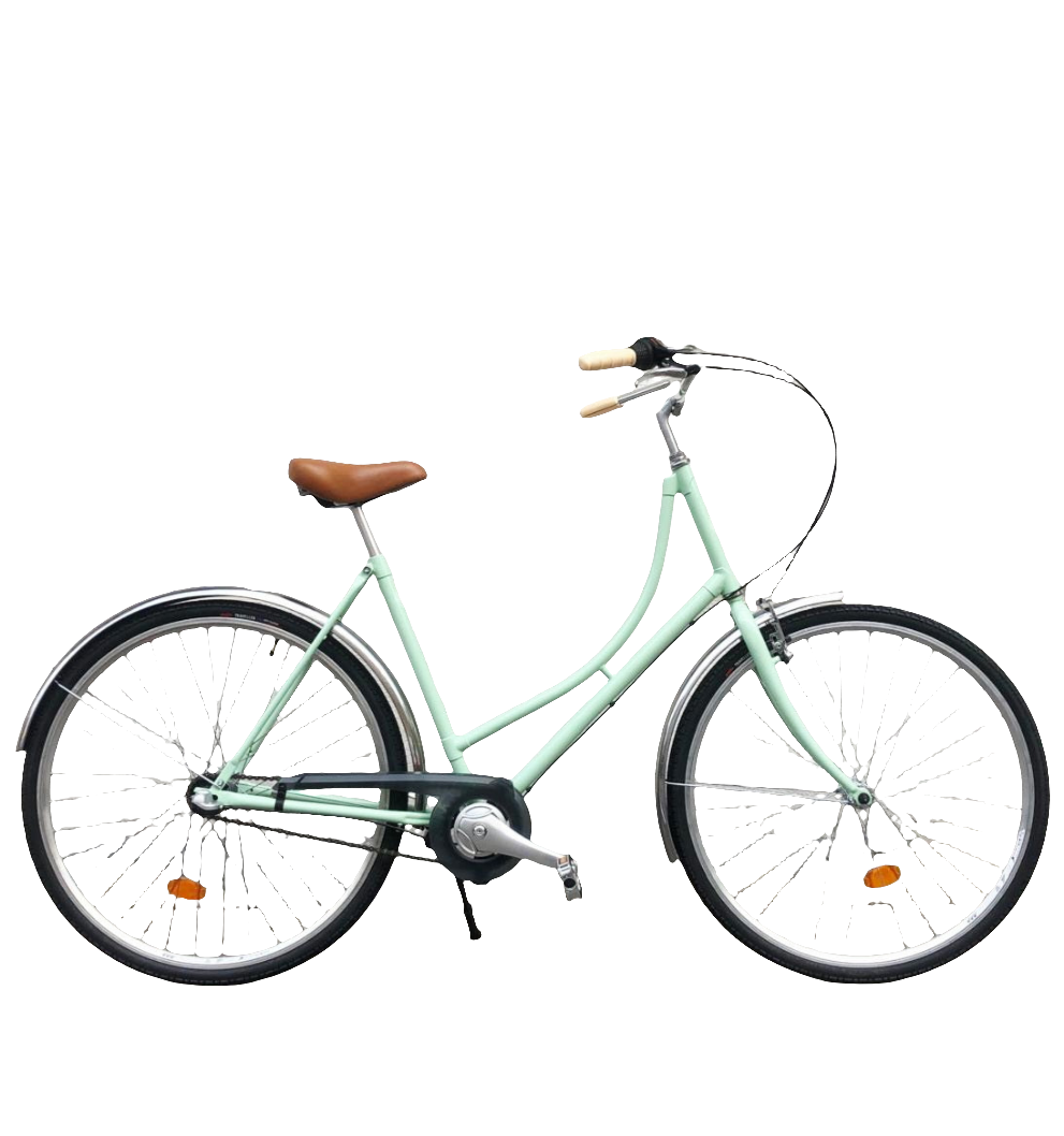 Hollandrad Mint 3 Gang