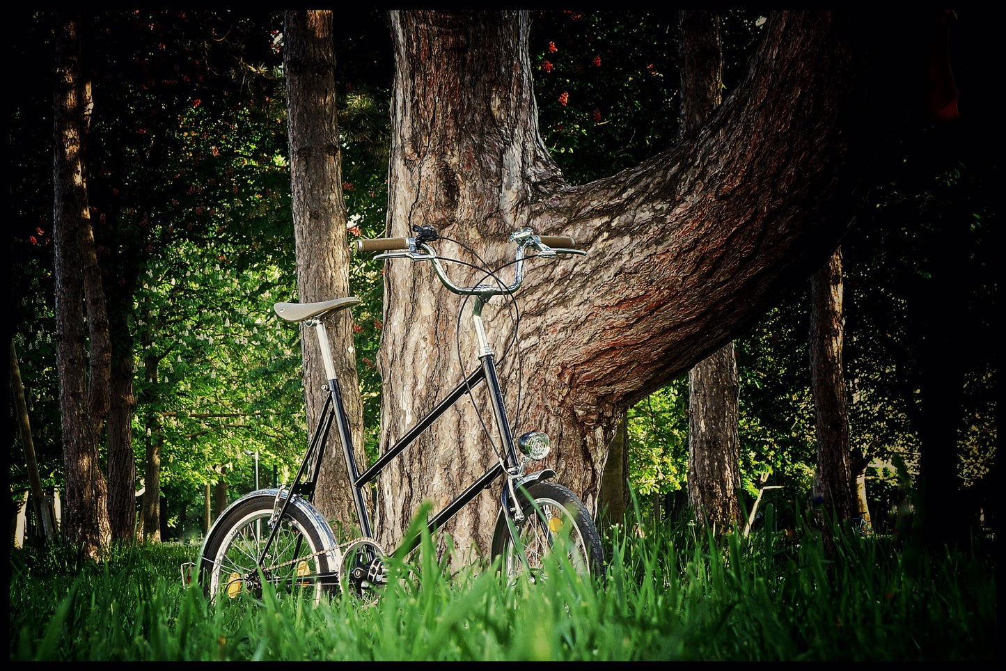 Glanzrad Minivelo Mod.LSG-Trapez Schwarz