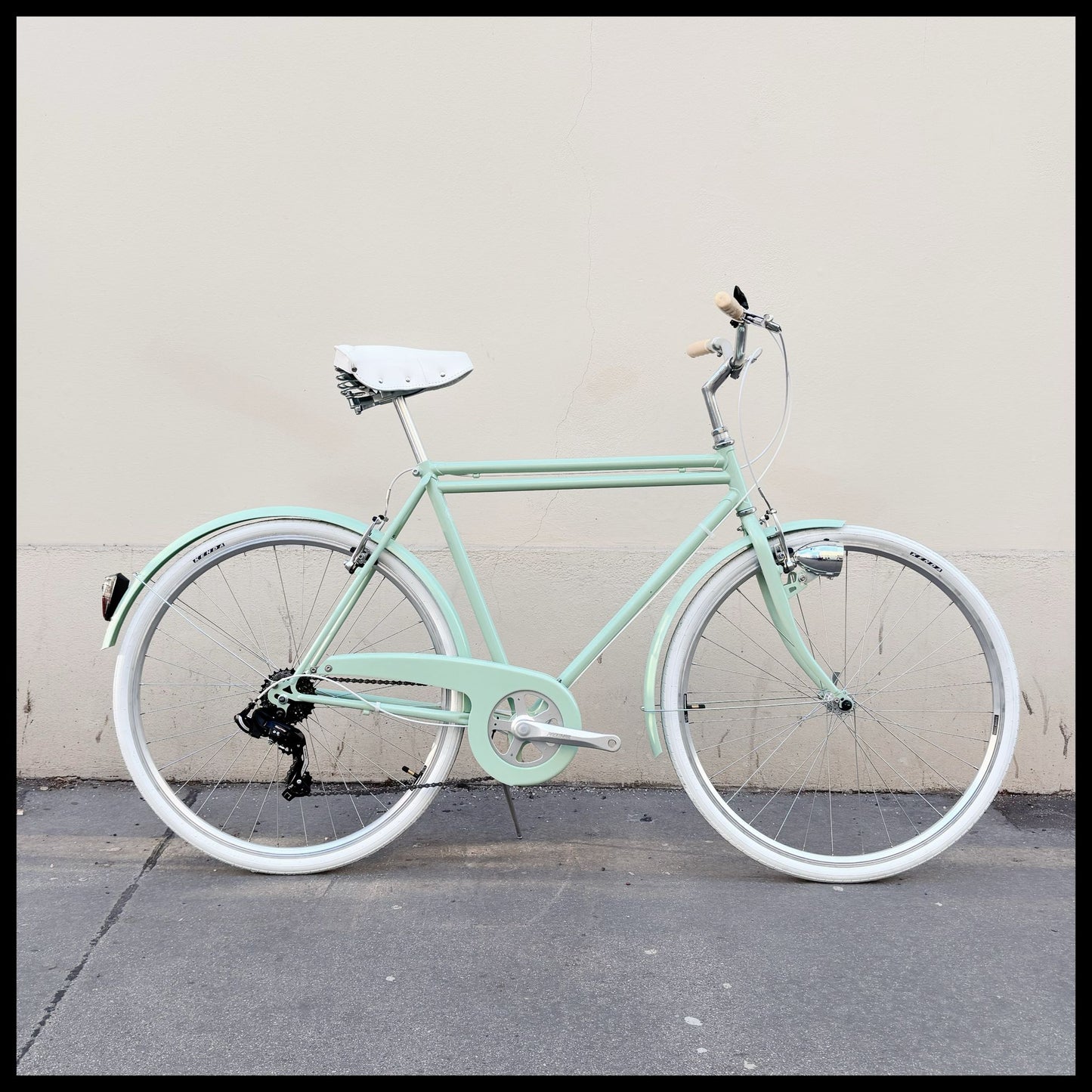 Glanzrad Doppelrohr 6G 56cm Rahmenhöhe MINT