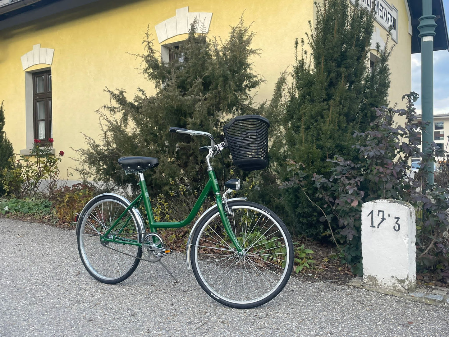 Glanzrad Uno 24 Zoll DELUXE British Racing Green - Singlespeed mit Rücktritt