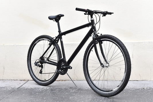 Alu Urban Outdoor 29 Zoll 21 Gang