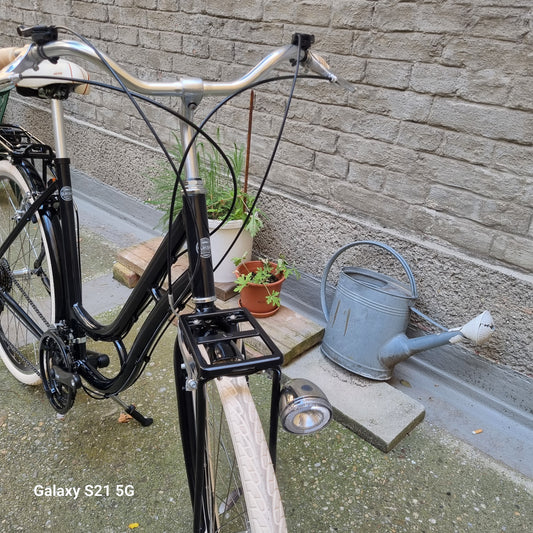 Glanzrad Schwanenhals 53 cm 21 Gang Deluxe