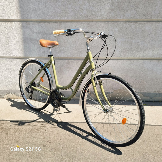 Glanzrad Schwanenhals 53cm Olive 21 Gang