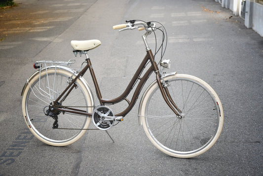 Glanzrad Alu Schwanenhals 53  - 6/18 Gang  - Braun - 53cm Rahmenhöhe Basic