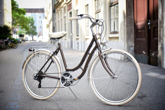 Glanzrad Alu Schwanenhals 53  - 6/18 Gang  - Braun - 53cm Rahmenhöhe Basic