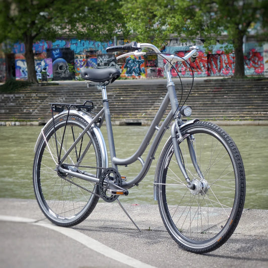 Schwanenhals 53cm 7 Gang Shimano Nexus Nabenschaltung sowie Nabendynamo