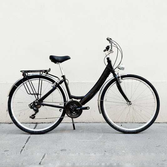 Glanzrad Ypsilon Alu 18 Gang Standard (Firmenrad, Leihrad, Seniorenrad, Studentenrad, Anfängerrad, Grosse Kinderrad)