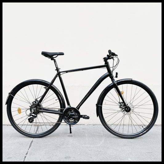 Glanzrad Disc-Sport Herren