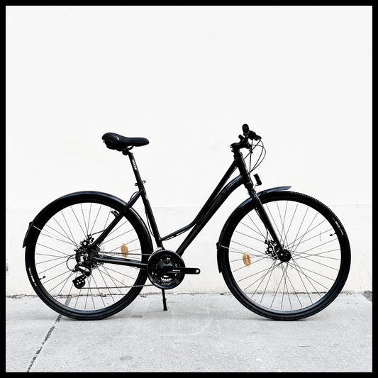 Glanzrad Disc-Sport Damen