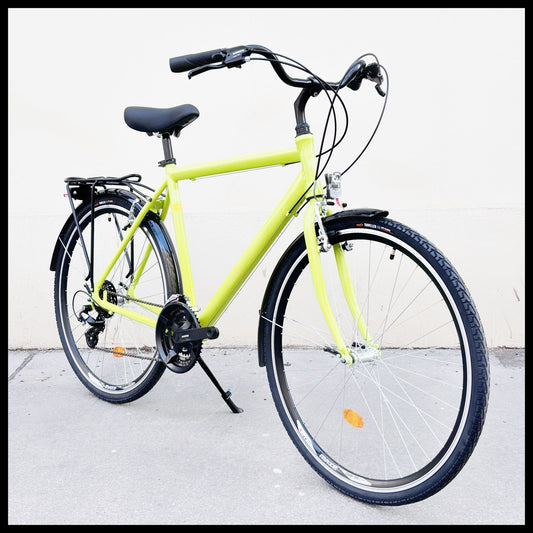 Glanzrad Aluminium Diamant 21 Gang Shimano Altus STEF
