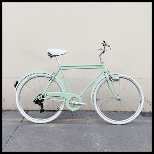 Glanzrad Doppelrohr 6G 56cm Rahmenhöhe MINT