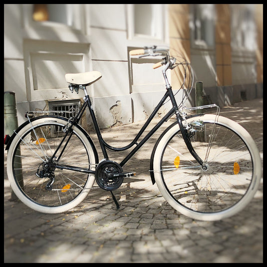 Glanzrad Modell 20/1,  Spezial