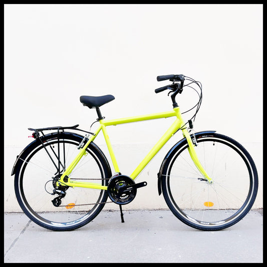 Glanzrad Aluminium Diamant 21 Gang Shimano Altus STEF