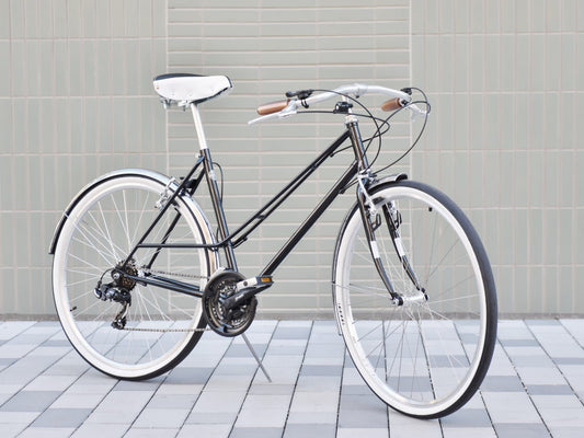 Glanzrad Mixte Special