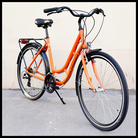 Glanzrad Modell 19-19 Aluminium 21 Gang Shimano STEF UNISEX