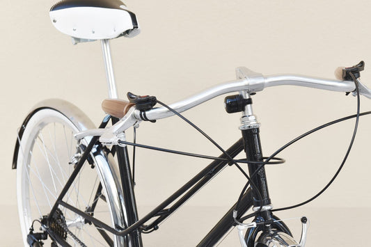 Glanzrad Mixte Special