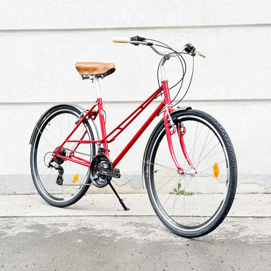 Mixte 48 cm Rot 21 G Altus